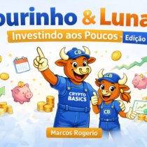 LIVRO EDUCACIONAL - INVESTINDO AOS POUCOS - EDIÇÃO #03